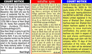 Court Notice Classified Display Ad